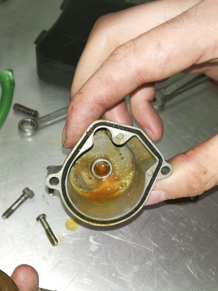 Vergaserreinigung